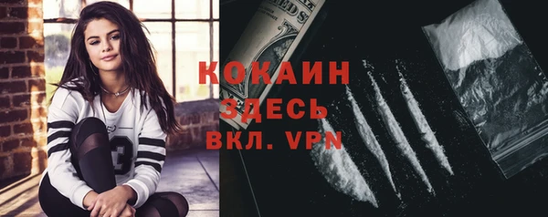 дживик Бронницы