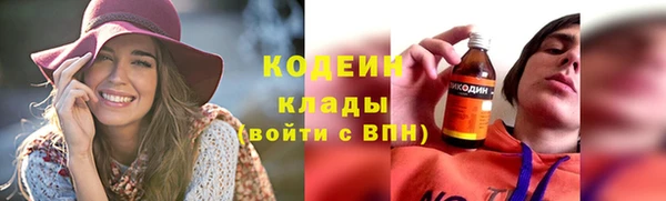 дживик Бронницы