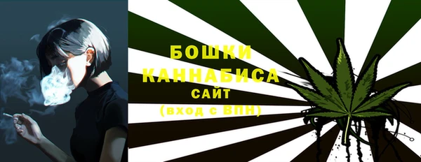 дживик Бронницы