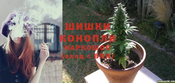 дживик Бронницы