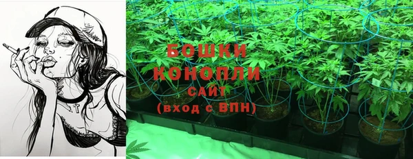 круглые Бородино
