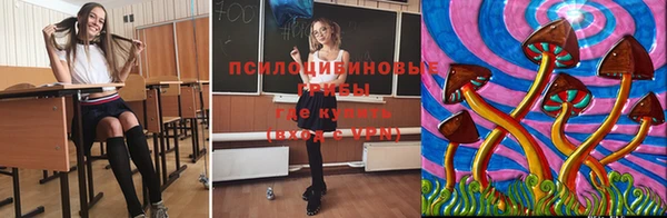 дживик Бронницы
